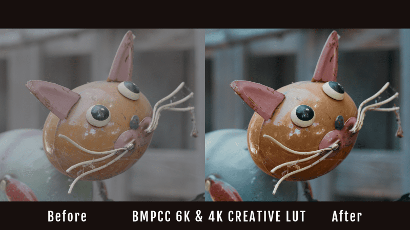 BMPCC 6k Creative