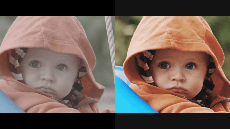 Before After Creative LUT ZCam